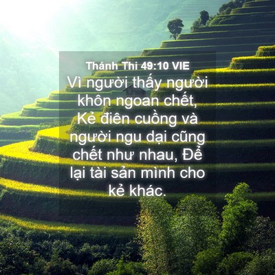 Picture 04 - Thánh Thi 49:10 VIE - Vì người thấy người khôn ngoan chết, - Bible Verse Picture