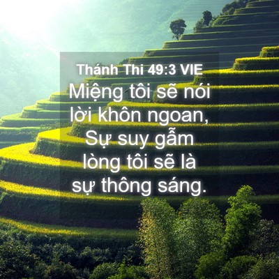 Picture 04 - Thánh Thi 49:3 VIE - Miệng tôi sẽ nói lời khôn ngoan, Sự - Bible Verse Picture