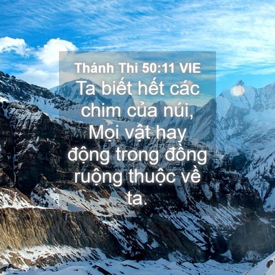 Picture 04 - Thánh Thi 50:11 VIE - Ta biết hết các chim của núi, Mọi vật - Bible Verse Picture