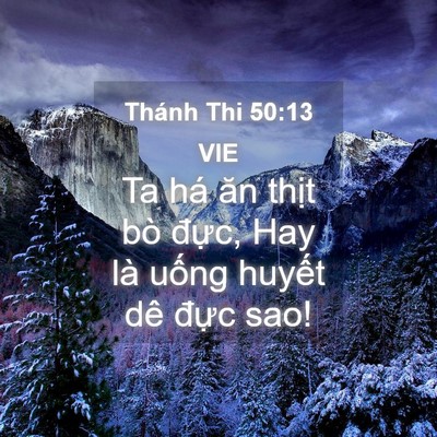 Picture 04 - Thánh Thi 50:13 VIE - Ta há ăn thịt bò đực, Hay là uống - Bible Verse Picture