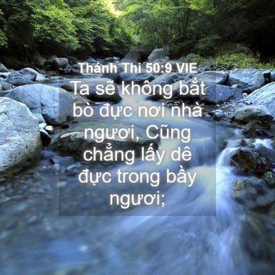 Picture 04 - Thánh Thi 50:9 VIE - Ta sẽ không bắt bò đực nơi nhà - Bible Verse Picture