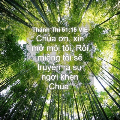 Picture 04 - Thánh Thi 51:15 VIE - Chúa ơn, xin mở môi tôi, Rồi miệng tôi - Bible Verse Picture