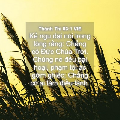 Picture 04 - Thánh Thi 53:1 VIE - Kẻ ngu dại nói trong lòng rằng: Chẳng - Bible Verse Picture