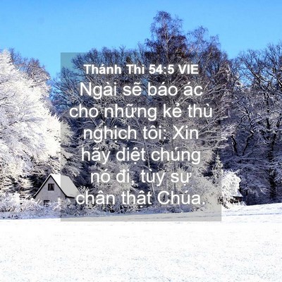 Picture 04 - Thánh Thi 54:5 VIE - Ngài sẽ báo ác cho những kẻ thù - Bible Verse Picture
