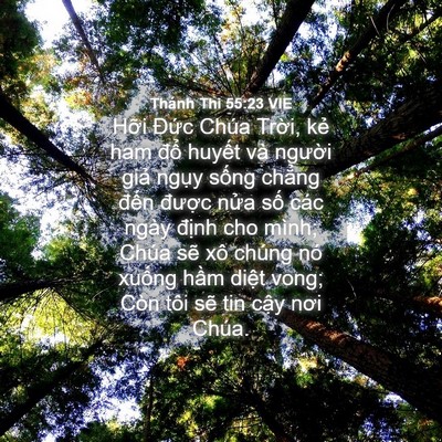Picture 04 - Thánh Thi 55:23 VIE - Hỡi Đức Chúa Trời, kẻ ham đổ huyết - Bible Verse Picture