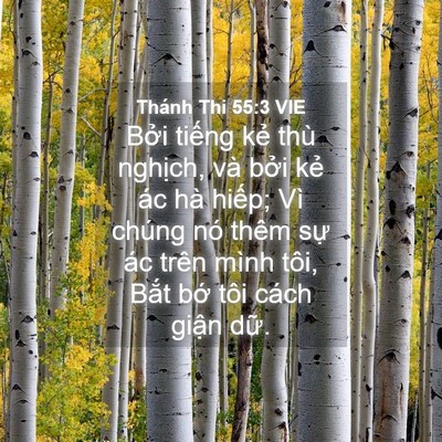 Picture 04 - Thánh Thi 55:3 VIE - Bởi tiếng kẻ thù nghịch, và bởi kẻ - Bible Verse Picture