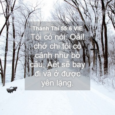 Picture 04 - Thánh Thi 55:6 VIE - Tôi có nói: Oâi! chớ chi tôi có cánh - Bible Verse Picture