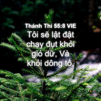 Picture 04 - Thánh Thi 55:8 VIE - Tôi sẽ lật đật chạy đụt khỏi gió - Bible Verse Picture
