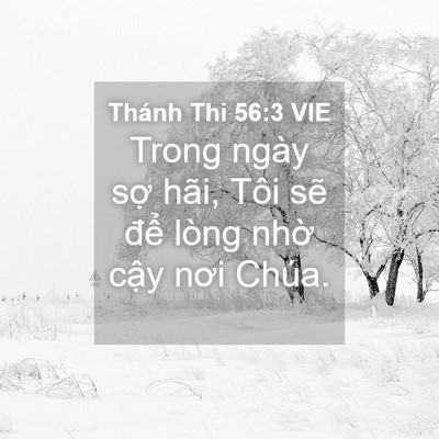 Picture 04 - Thánh Thi 56:3 VIE - Trong ngày sợ hãi, Tôi sẽ để lòng - Bible Verse Picture