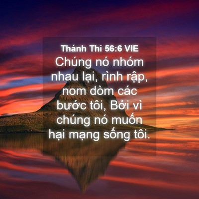 Picture 04 - Thánh Thi 56:6 VIE - Chúng nó nhóm nhau lại, rình rập, nom - Bible Verse Picture