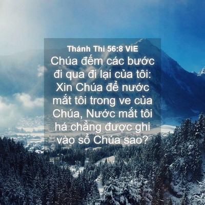 Picture 04 - Thánh Thi 56:8 VIE - Chúa đếm các bước đi qua đi lại của - Bible Verse Picture