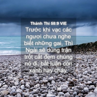 Picture 04 - Thánh Thi 58:9 VIE - Trước khi vạc các ngươi chưa nghe biết - Bible Verse Picture