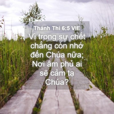 Picture 04 - Thánh Thi 6:5 VIE - Vì trong sự chết chẳng còn nhớ đến - Bible Verse Picture