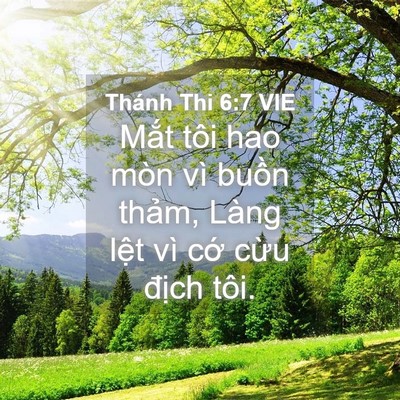 Picture 04 - Thánh Thi 6:7 VIE - Mắt tôi hao mòn vì buồn thảm, Làng - Bible Verse Picture