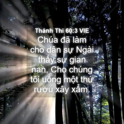Picture 04 - Thánh Thi 60:3 VIE - Chúa đã làm cho dân sự Ngài thấy sự - Bible Verse Picture