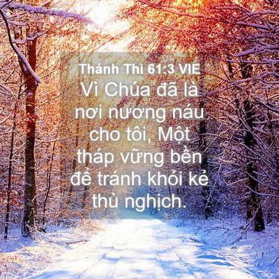 Picture 04 - Thánh Thi 61:3 VIE - Vì Chúa đã là nơi nương náu cho tôi, - Bible Verse Picture