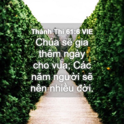 Picture 04 - Thánh Thi 61:6 VIE - Chúa sẽ gia thêm ngày cho vua; Các năm - Bible Verse Picture
