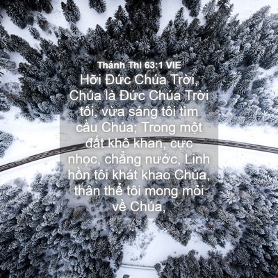 Picture 04 - Thánh Thi 63:1 VIE - Hỡi Đức Chúa Trời, Chúa là Đức Chúa - Bible Verse Picture