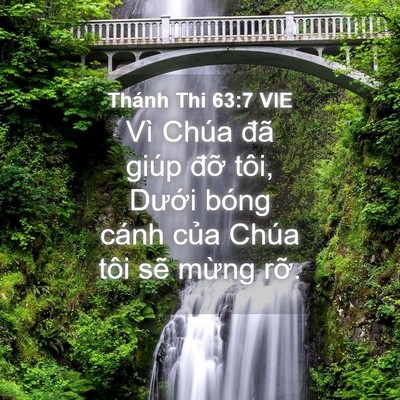 Picture 04 - Thánh Thi 63:7 VIE - Vì Chúa đã giúp đỡ tôi, Dưới bóng - Bible Verse Picture