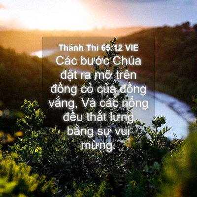Picture 04 - Thánh Thi 65:12 VIE - Các bước Chúa đặt ra mỡ trên đồng - Bible Verse Picture