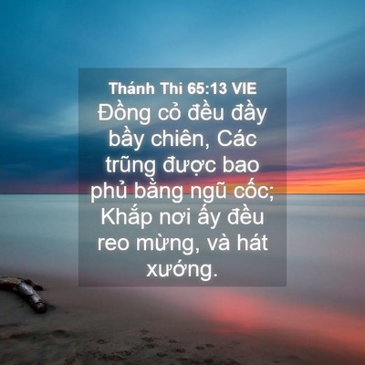 Picture 04 - Thánh Thi 65:13 VIE - Đồng cỏ đều đầy bầy chiên, Các - Bible Verse Picture