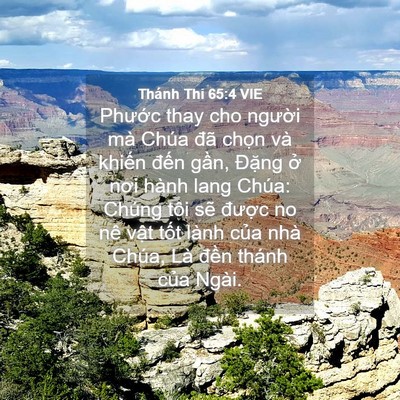 Picture 04 - Thánh Thi 65:4 VIE - Phước thay cho người mà Chúa đã chọn - Bible Verse Picture