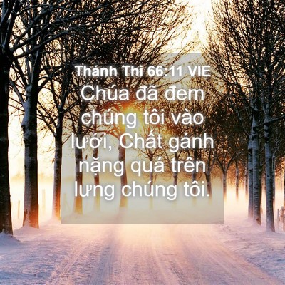 Picture 04 - Thánh Thi 66:11 VIE - Chúa đã đem chúng tôi vào lưới, Chất - Bible Verse Picture