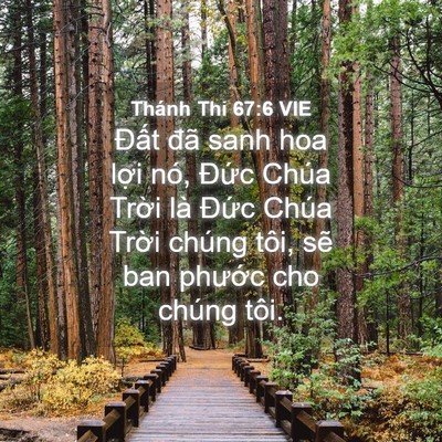 Picture 04 - Thánh Thi 67:6 VIE - Đất đã sanh hoa lợi nó, Đức Chúa - Bible Verse Picture