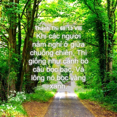 Picture 04 - Thánh Thi 68:13 VIE - Khi các ngươi nằm nghỉ ở giữa chuồng - Bible Verse Picture