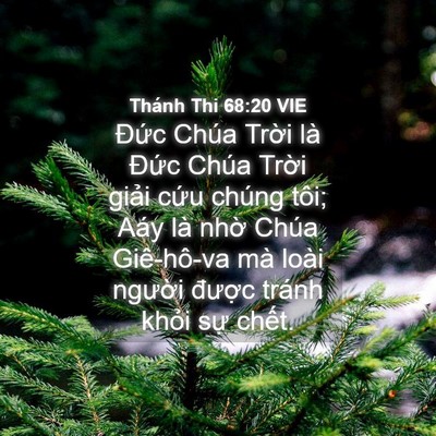 Picture 04 - Thánh Thi 68:20 VIE - Đức Chúa Trời là Đức Chúa Trời - Bible Verse Picture