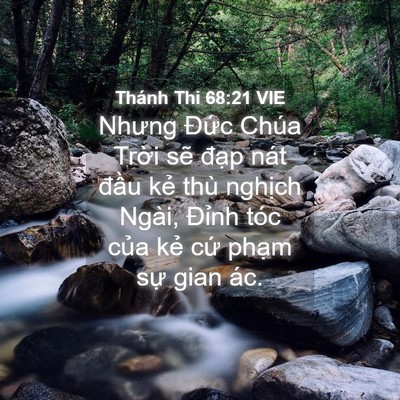 Picture 04 - Thánh Thi 68:21 VIE - Nhưng Đức Chúa Trời sẽ đạp nát - Bible Verse Picture