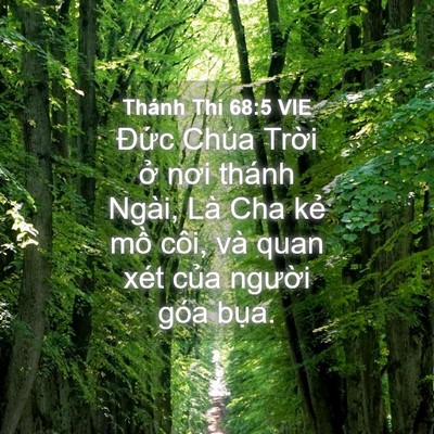 Picture 04 - Thánh Thi 68:5 VIE - Đức Chúa Trời ở nơi thánh Ngài, Là - Bible Verse Picture