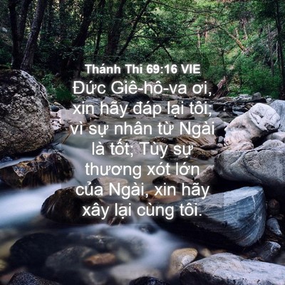 Picture 04 - Thánh Thi 69:16 VIE - Đức Giê-hô-va ơi, xin hãy đáp lại - Bible Verse Picture