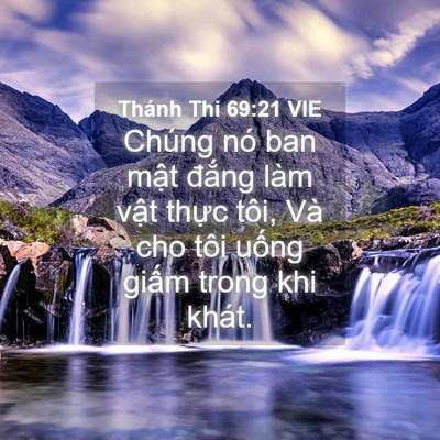 Picture 04 - Thánh Thi 69:21 VIE - Chúng nó ban mật đắng làm vật thực - Bible Verse Picture