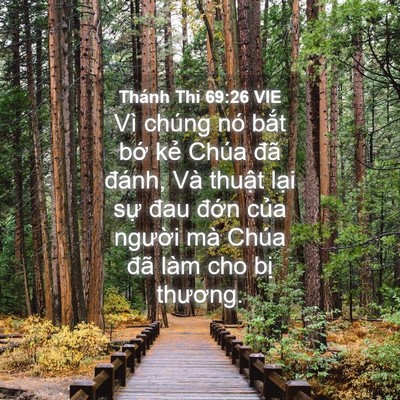 Picture 04 - Thánh Thi 69:26 VIE - Vì chúng nó bắt bớ kẻ Chúa đã đánh, - Bible Verse Picture