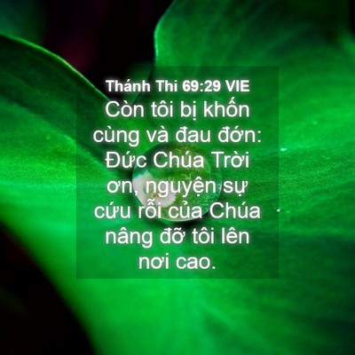 Picture 04 - Thánh Thi 69:29 VIE - Còn tôi bị khốn cùng và đau đớn: - Bible Verse Picture
