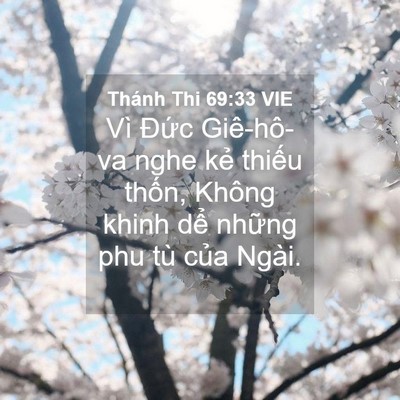 Picture 04 - Thánh Thi 69:33 VIE - Vì Đức Giê-hô-va nghe kẻ thiếu thốn, - Bible Verse Picture
