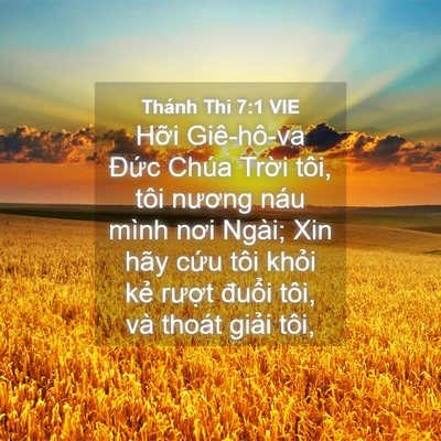 Picture 04 - Thánh Thi 7:1 VIE - Hỡi Giê-hô-va Đức Chúa Trời tôi, tôi - Bible Verse Picture