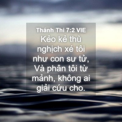 Picture 04 - Thánh Thi 7:2 VIE - Kẻo kẻ thù nghịch xé tôi như con sư - Bible Verse Picture