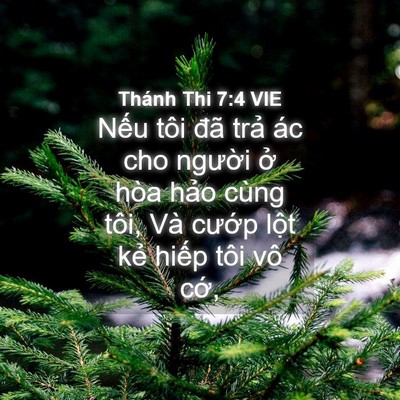 Picture 04 - Thánh Thi 7:4 VIE - Nếu tôi đã trả ác cho người ở hòa - Bible Verse Picture