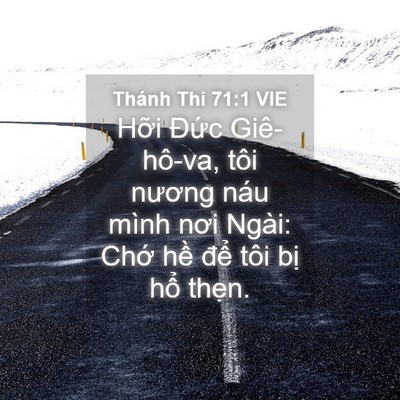 Picture 04 - Thánh Thi 71:1 VIE - Hỡi Đức Giê-hô-va, tôi nương náu mình - Bible Verse Picture