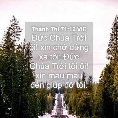 Picture 04 - Thánh Thi 71:12 VIE - Đức Chúa Trời ôi! xin chớ đứng xa - Bible Verse Picture