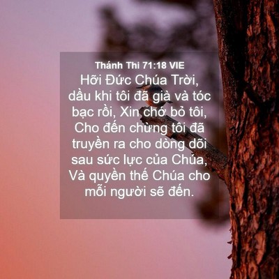 Picture 04 - Thánh Thi 71:18 VIE - Hỡi Đức Chúa Trời, dầu khi tôi đã - Bible Verse Picture