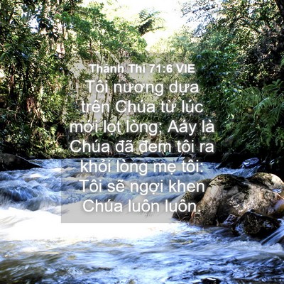 Picture 04 - Thánh Thi 71:6 VIE - Tôi nương dựa trên Chúa từ lúc mới - Bible Verse Picture
