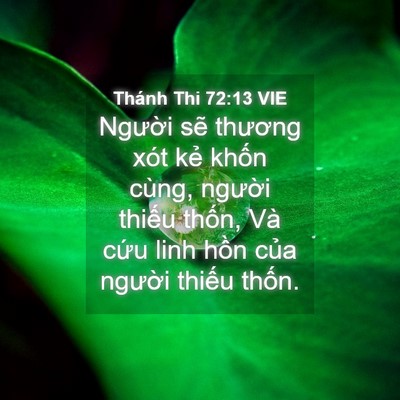 Picture 04 - Thánh Thi 72:13 VIE - Người sẽ thương xót kẻ khốn cùng, - Bible Verse Picture