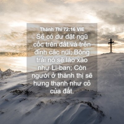 Picture 04 - Thánh Thi 72:16 VIE - Sẽ có dư dật ngũ cốc trên đất và - Bible Verse Picture