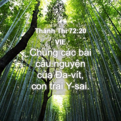 Picture 04 - Thánh Thi 72:20 VIE - Chung các bài cầu nguyện của Đa-vít, - Bible Verse Picture