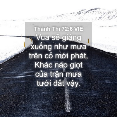 Picture 04 - Thánh Thi 72:6 VIE - Vua sẽ giáng xuống như mưa trên cỏ - Bible Verse Picture