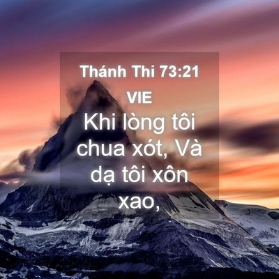 Picture 04 - Thánh Thi 73:21 VIE - Khi lòng tôi chua xót, Và dạ tôi xôn - Bible Verse Picture