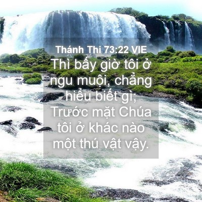 Picture 04 - Thánh Thi 73:22 VIE - Thì bấy giờ tôi ở ngu muội, chẳng - Bible Verse Picture